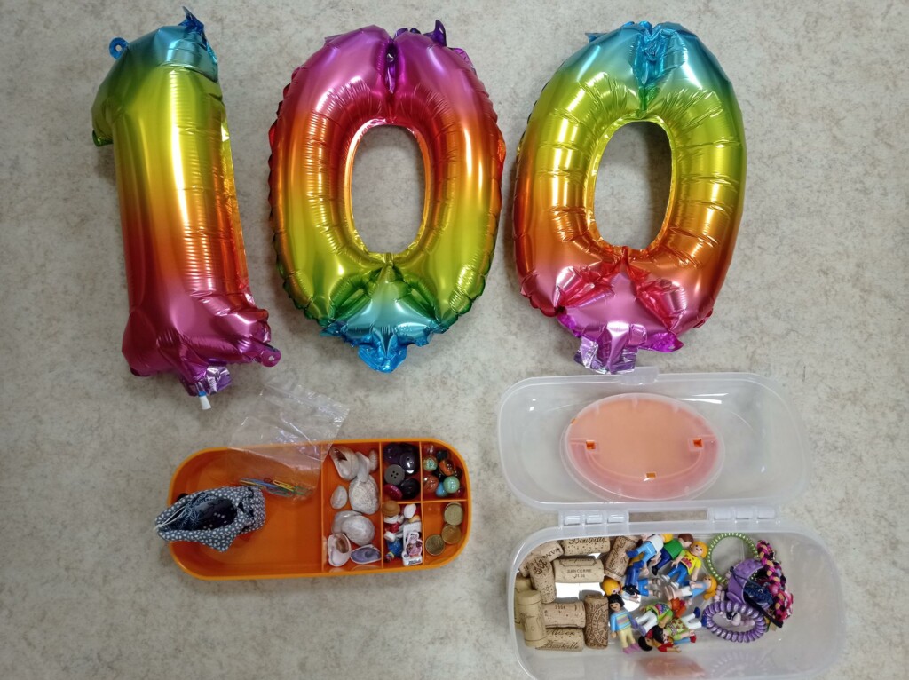 La fête des 100 jours : nos collections